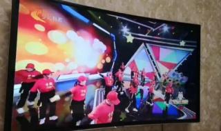 河北少儿频道在线直播