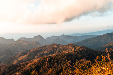 玩家辅助神器：“旺旺绍兴麻将究竟有挂吗”(原来确实是有挂)