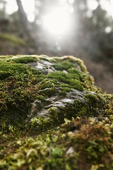 教程开挂辅助“兴动游戏有挂吗”开挂(透视)最新辅助详细教程